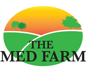 Diseño de Logo por jdwme para este proyecto | Diseño: #3422329