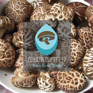 Logo Design by Wigmin for this project | Design: #3458924