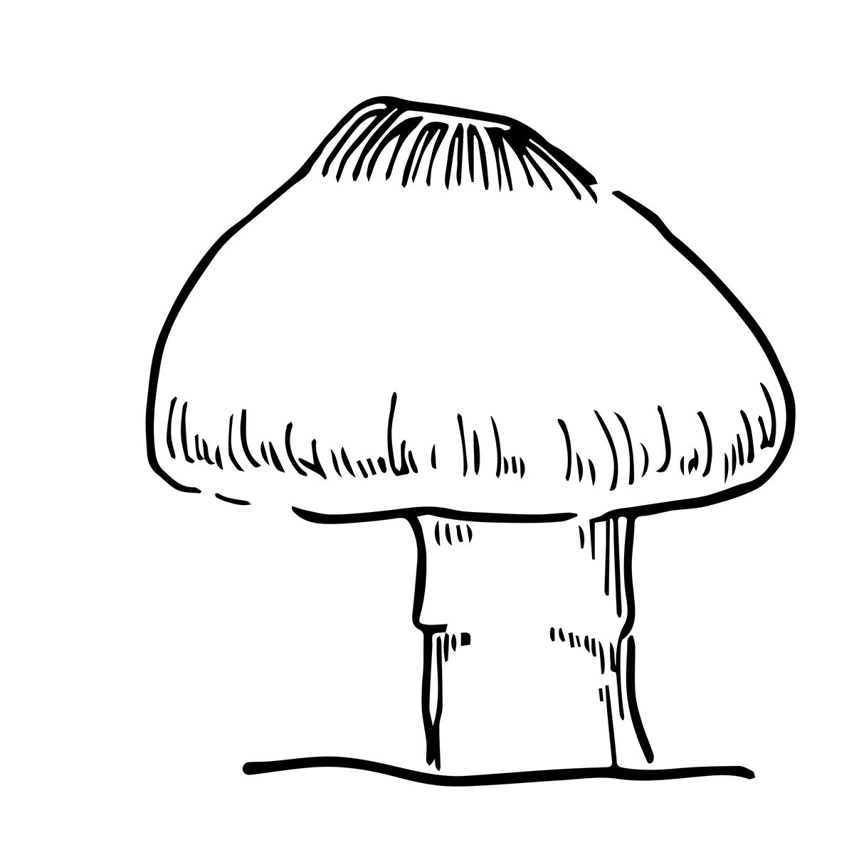 Logo Design by MushroomFan for this project | Design #3453047