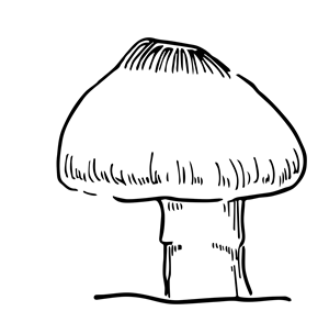 Logo Design by MushroomFan for this project | Design: #3453047