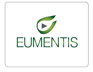 Logo Design by safeerahmed