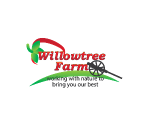 Logo Design by D by JB