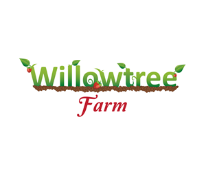 Logo Design by typeface