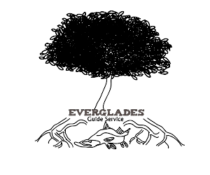 Diseño de Logo por bpdesign para Everglades guide Service | Diseño #3525247