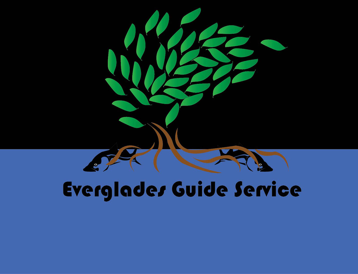 Logo-Design von Eos für Everglades guide Service | Design #3506326