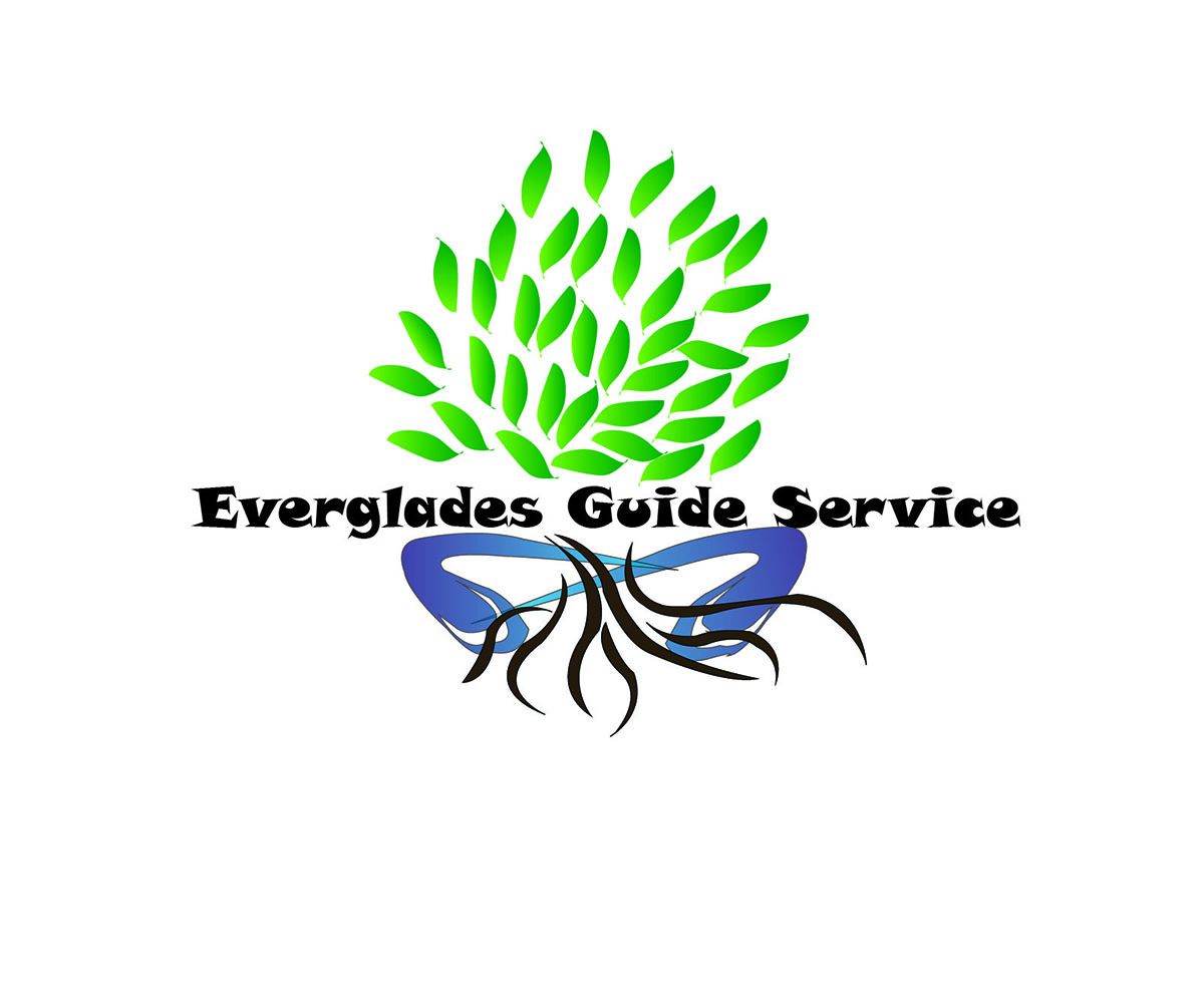 Logo-Design von Eos für Everglades guide Service | Design #3515556