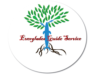 Diseño de Logo por Eos para Everglades guide Service | Diseño: #3515976