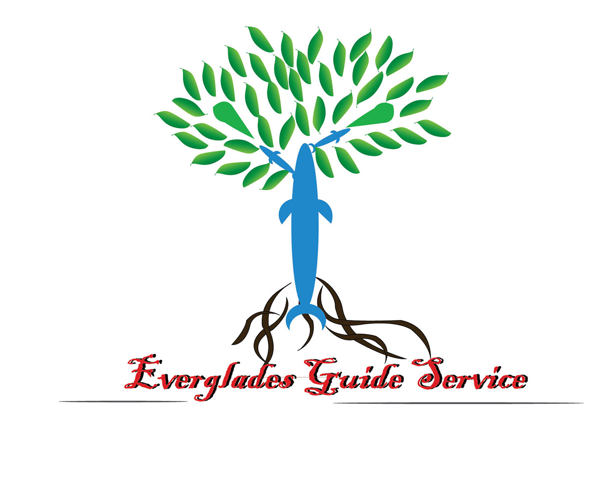 Logo-Design von Eos für Everglades guide Service | Design #3515984