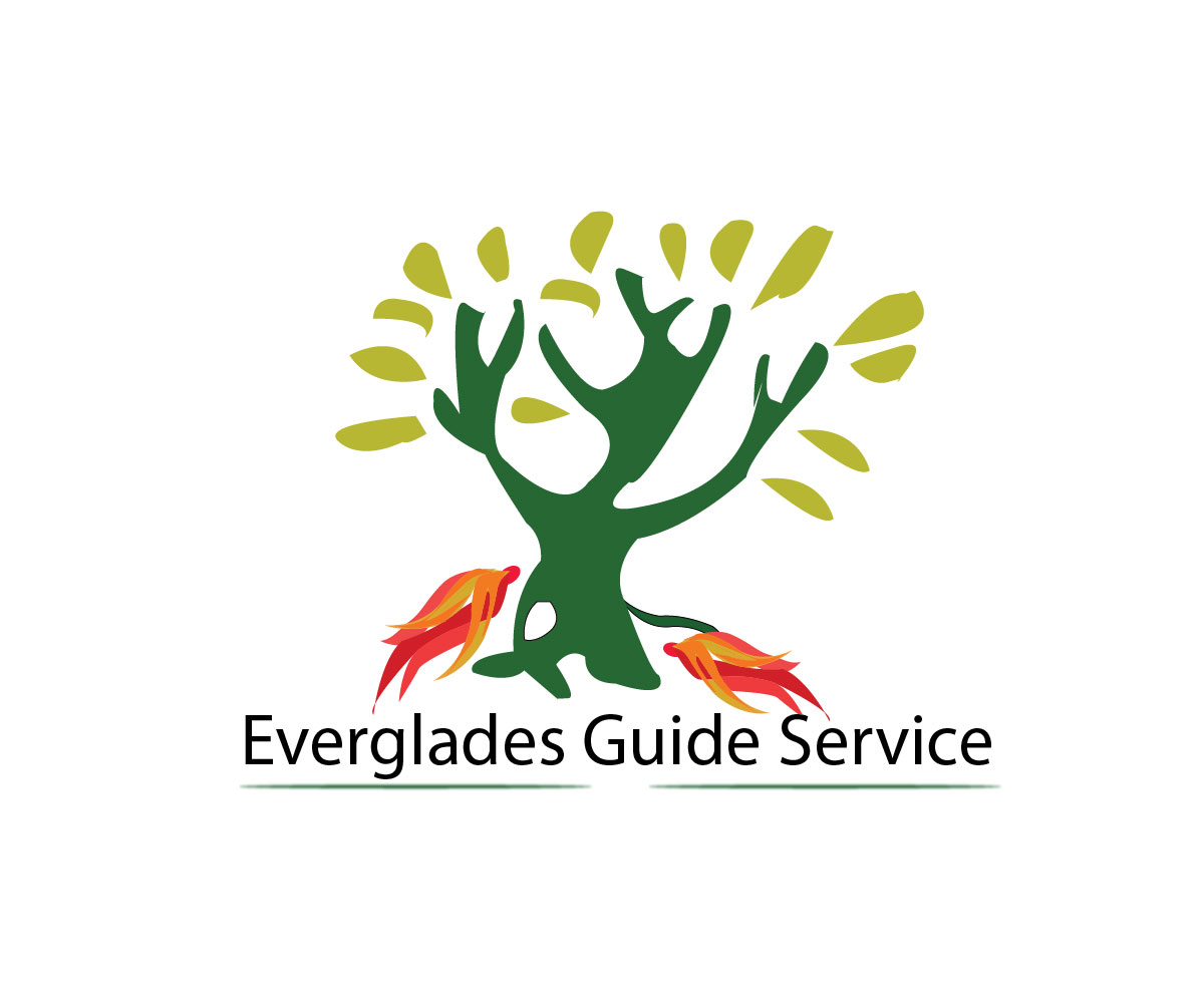 Logo-Design von Eos für Everglades guide Service | Design #3517390