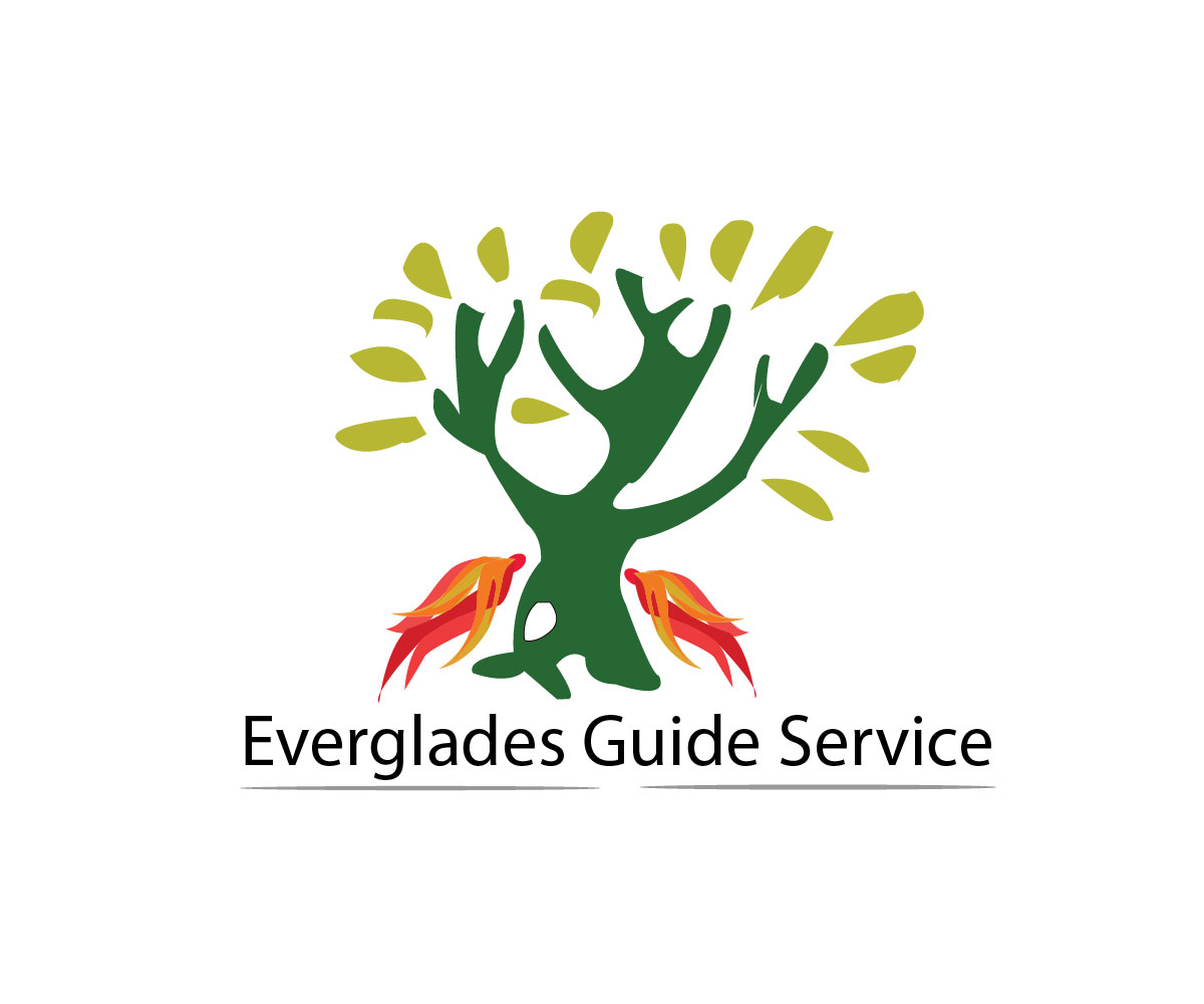 Logo Design by Eos for Everglades guide Service | Design #3517438