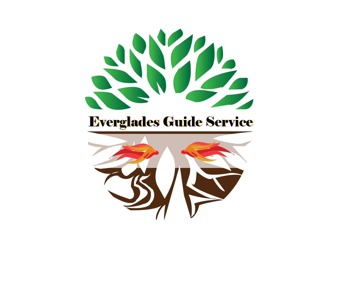 Logo-Design von Eos für Everglades guide Service | Design #3541777