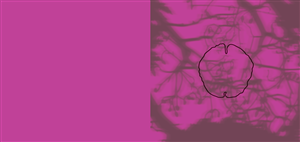 CD Cover Design by ulver for this project | Design: #3507890