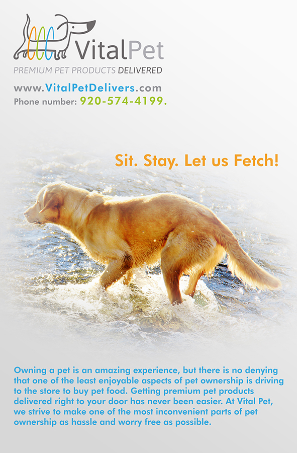 Diseño de Póster por UzEdit para este proyecto | Diseño #3394899