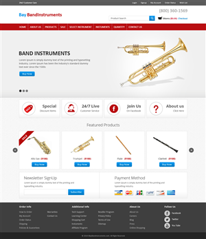 Web Design by Brajpal Freelance Website Designer