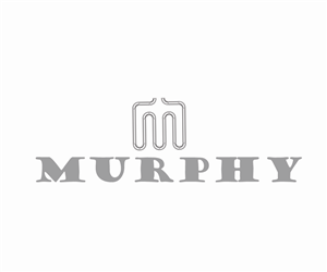 Logo Design by Design Dude