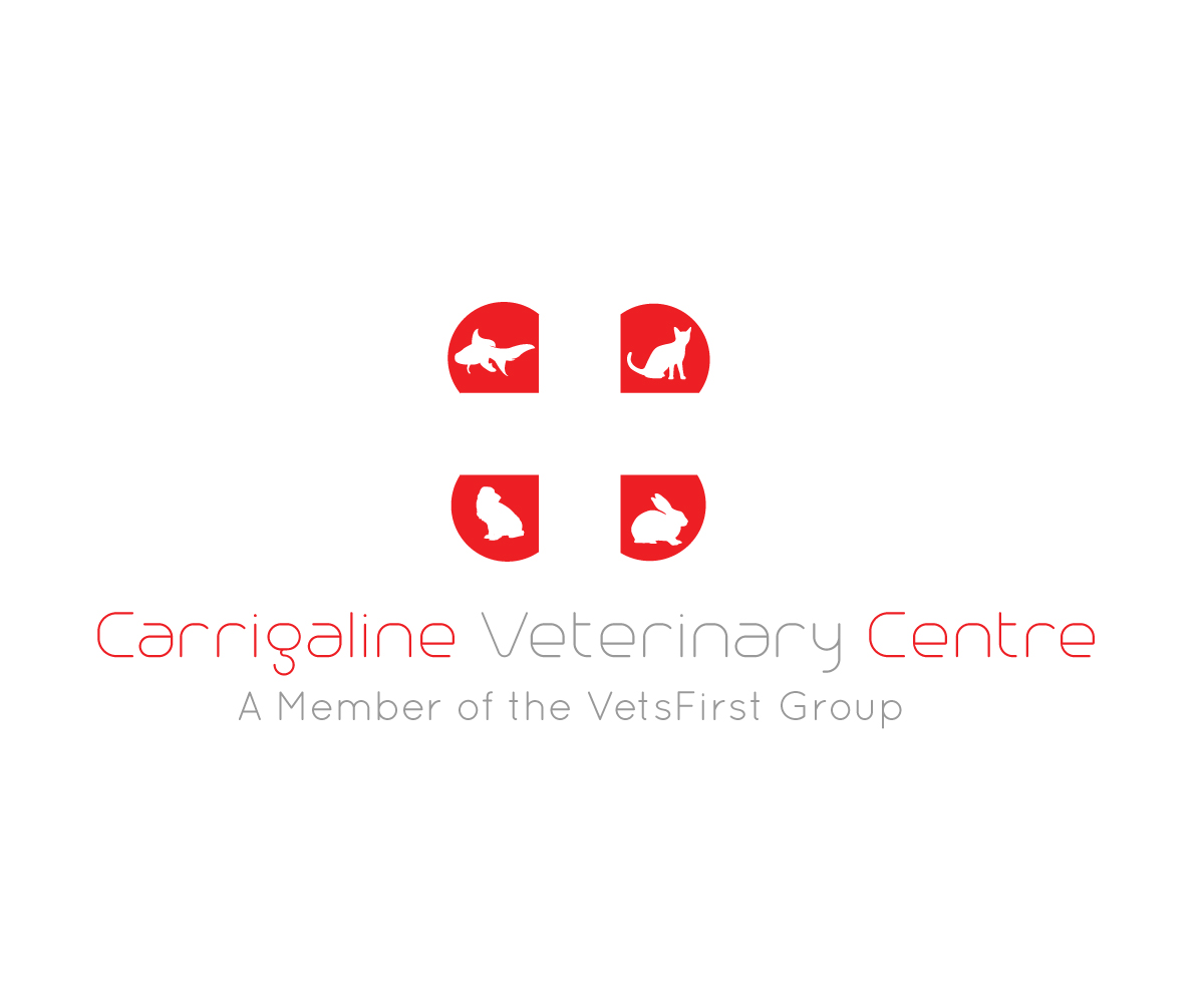 Logo Design by Euney's Design for VetsFirst Ltd | Design #3417899