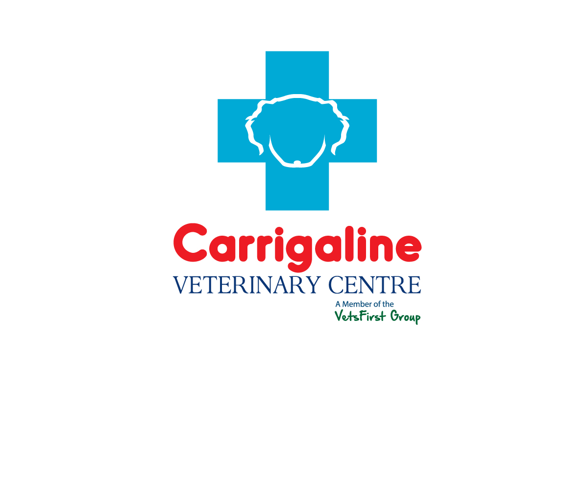 Logo Design by meygekon for VetsFirst Ltd | Design #3461894