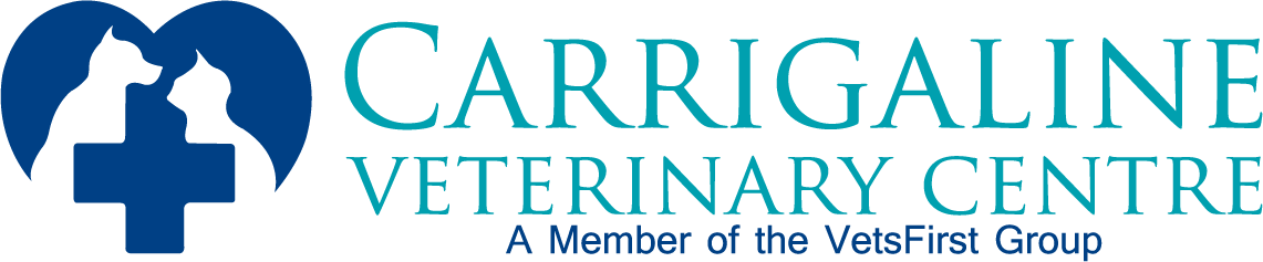 Logo Design by theK for VetsFirst Ltd | Design #3481279