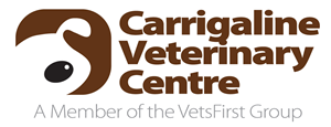 Logo Design by tigerfox for VetsFirst Ltd | Design #3454434
