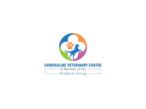 Logo Design by Ramaling Belkote for VetsFirst Ltd | Design #3393586