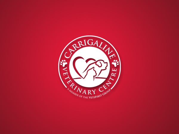 Logo Design by eagle for VetsFirst Ltd | Design #3430649