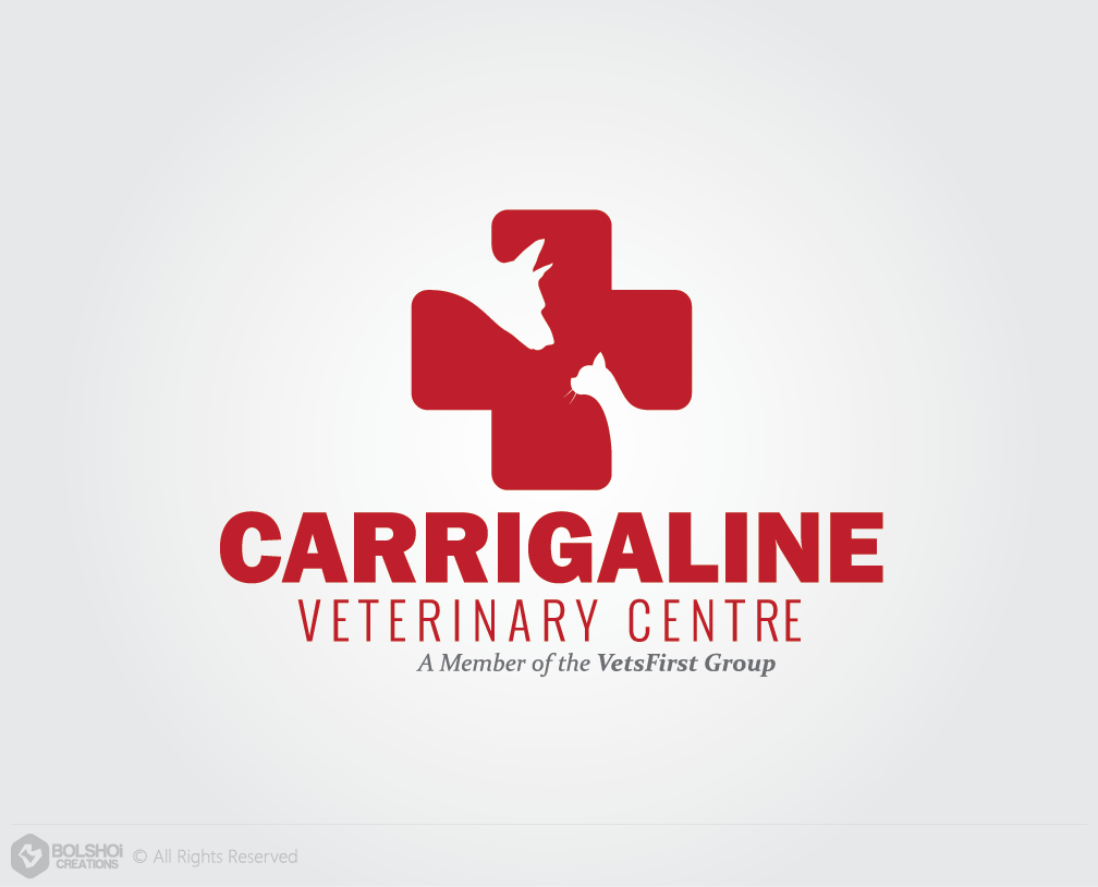 Logo Design by Bolshoi Creations for VetsFirst Ltd | Design #3451412