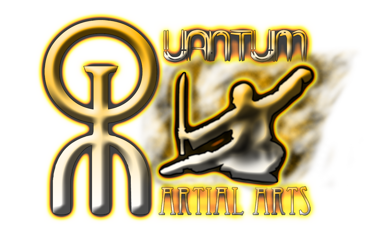 Logo Design by The Lex for Quantum Martial Arts | Design #3399271