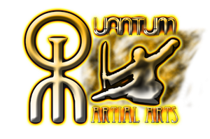 Logo Design by The Lex for Quantum Martial Arts | Design: #3399271