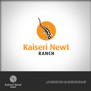Logo Design by mvillamin