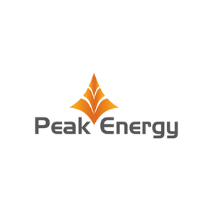 Logo Design by Design Possibilities for this project | Design: #3397365