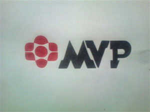 Logo Design by Mallory Blaauw