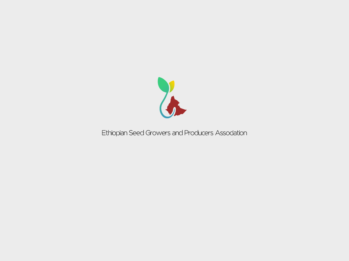 Design de Logo par Seamus Radu pour ce projet | Design #3414417