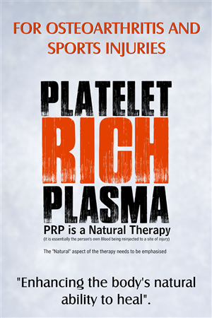 Diseño de Póster por SHANKAR para este proyecto | Diseño: #3459789