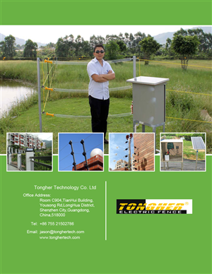 Catalogue Design by Parul for this project | Design: #3536986