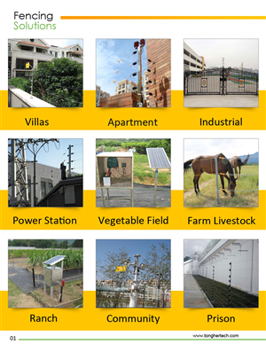 Catalogue Design by Parul for this project | Design: #3536995