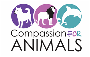 Logo-Design von Hafiz für dieses Projekt | Design: #3461748