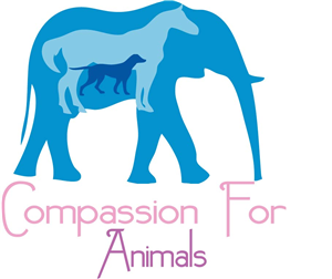 Logo Design by kunal jethanandani