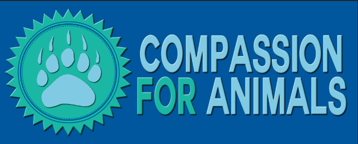 Logo Design by CaseyIrene for this project | Design #3464096