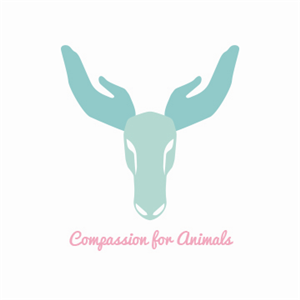 Logo-Design von Rachel_Felipe für dieses Projekt | Design: #3433208