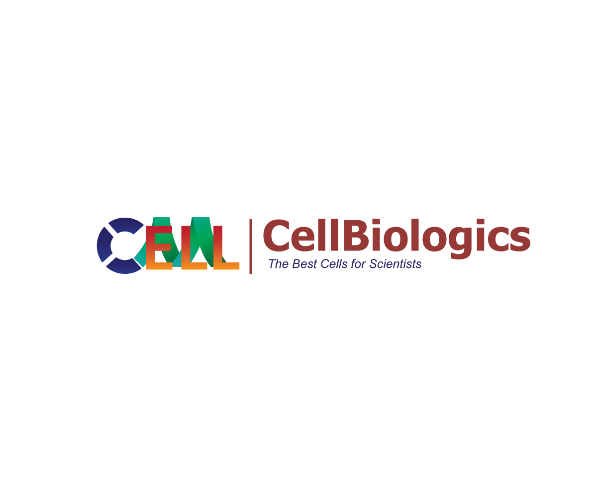 Logo Design by niko for this project | Design #3412258