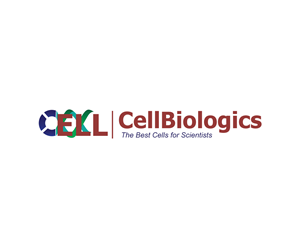 Logo Design by niko for this project | Design: #3435812