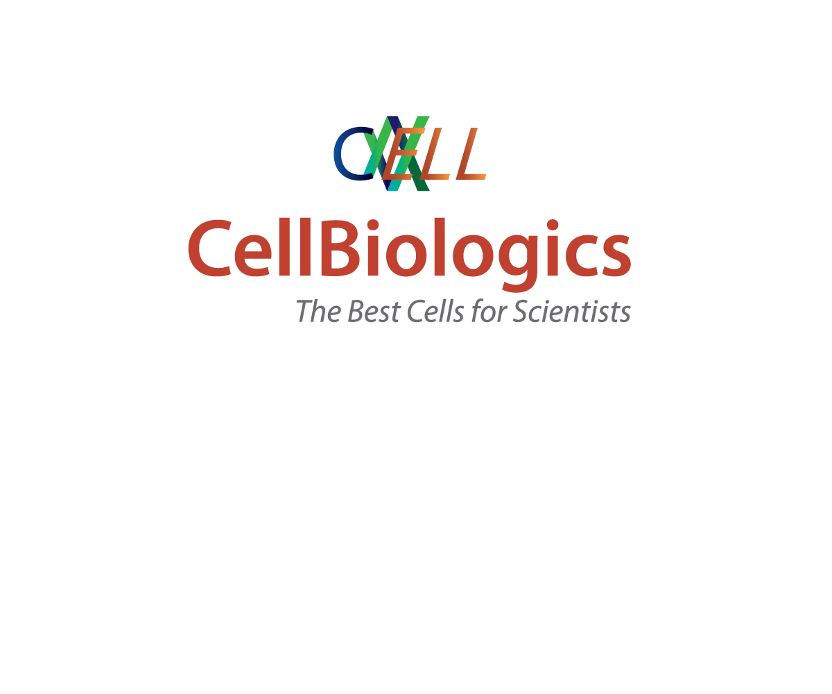 Logo Design by meygekon for this project | Design #3427202