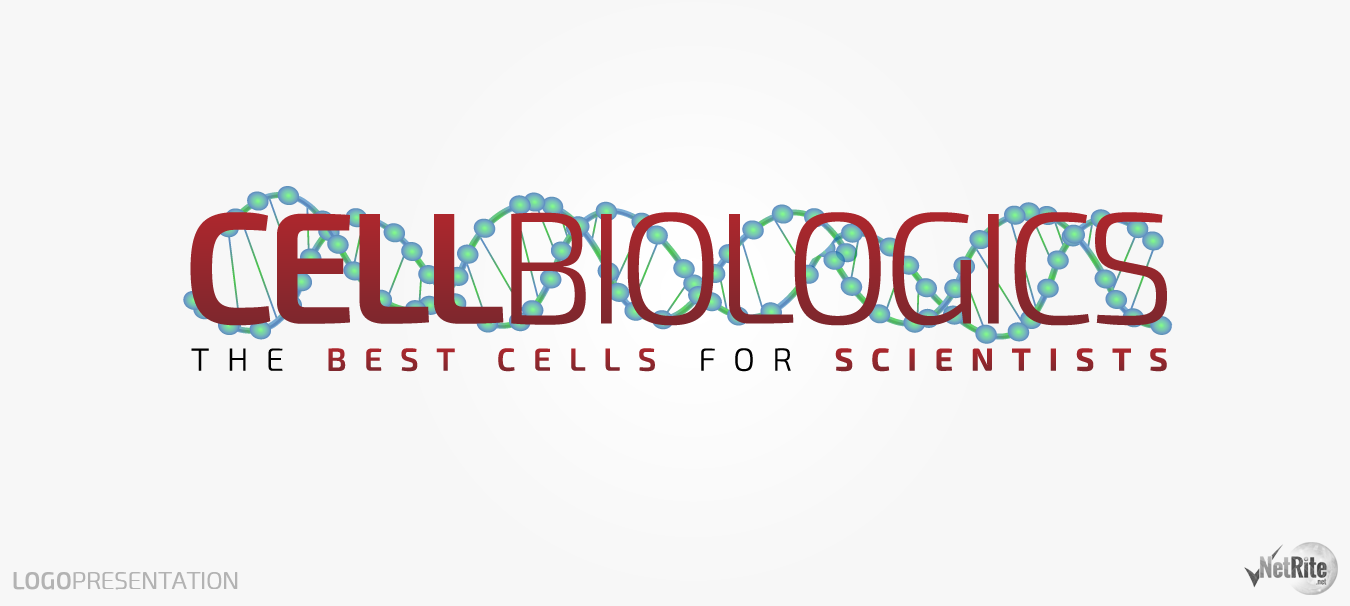 Logo-Design von NetRite-Design für dieses Projekt | Design #3481010