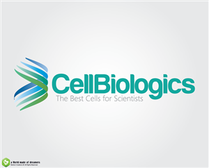 see file | Logo Design by Bolshoi Creations