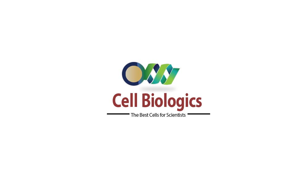 Logo Design by wiqi_857 for this project | Design #3421010