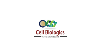 Logo Design by wiqi_857