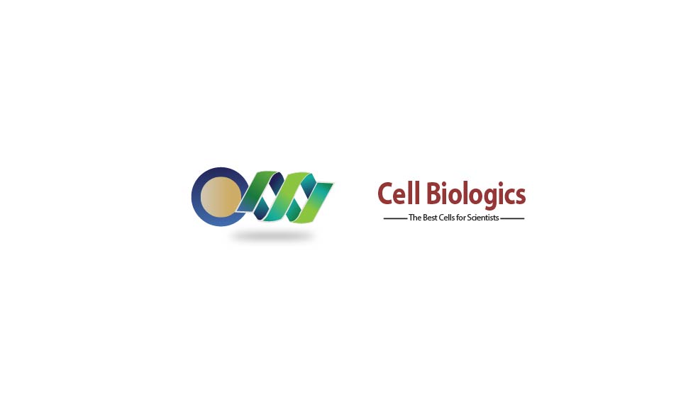Logo Design by wiqi_857 for this project | Design #3421017