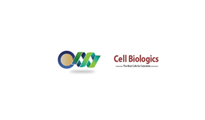 Logo Design by wiqi_857 for this project | Design #3421017