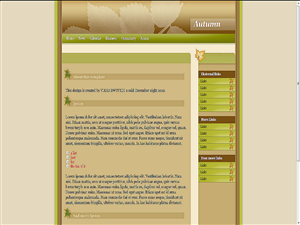 Web Design by vikas the designer