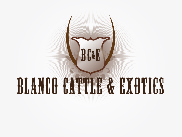 Logo Design by OUT of BOX.d for this project | Design #844996